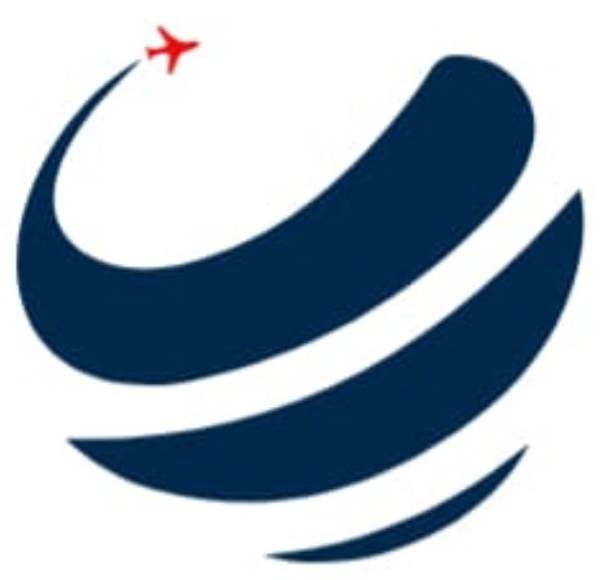 VisaSynoptics logo